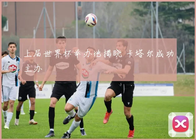 上届世界杯举办地揭晓 卡塔尔成功主办