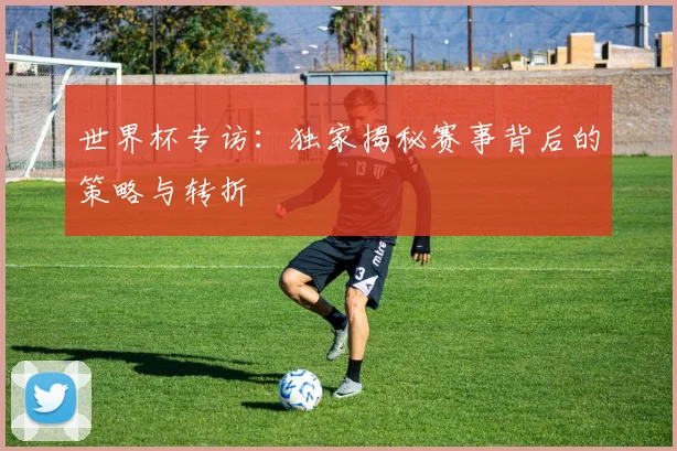 世界杯专访：独家揭秘赛事背后的策略与转折