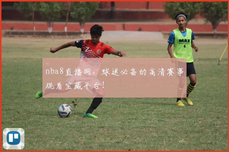 nba8直播网，球迷必备的高清赛事观看宝藏平台！