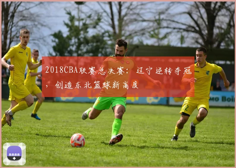 2018CBA联赛总决赛：辽宁逆转夺冠，创造东北篮球新高度