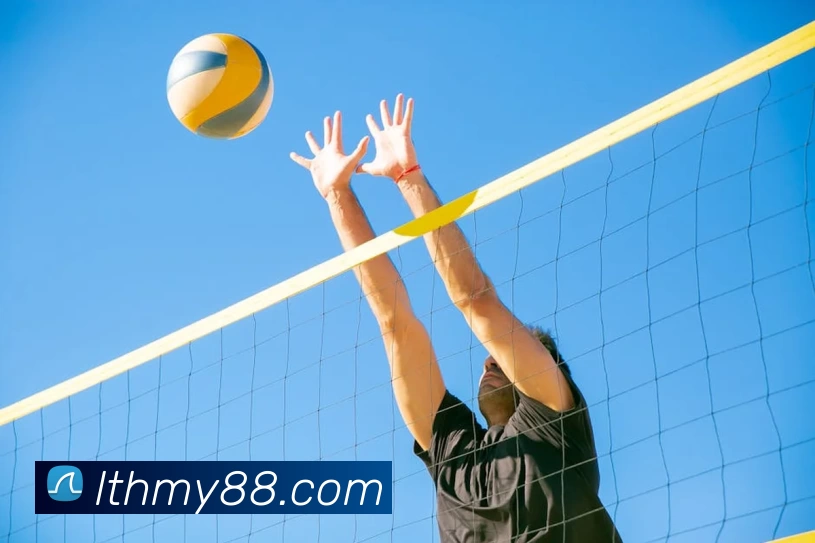 九游j9官方入口品牌故事