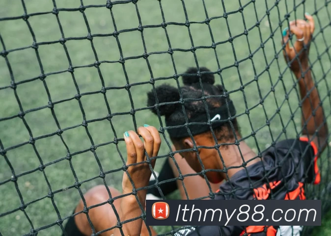 九游j9官方入口服务体系